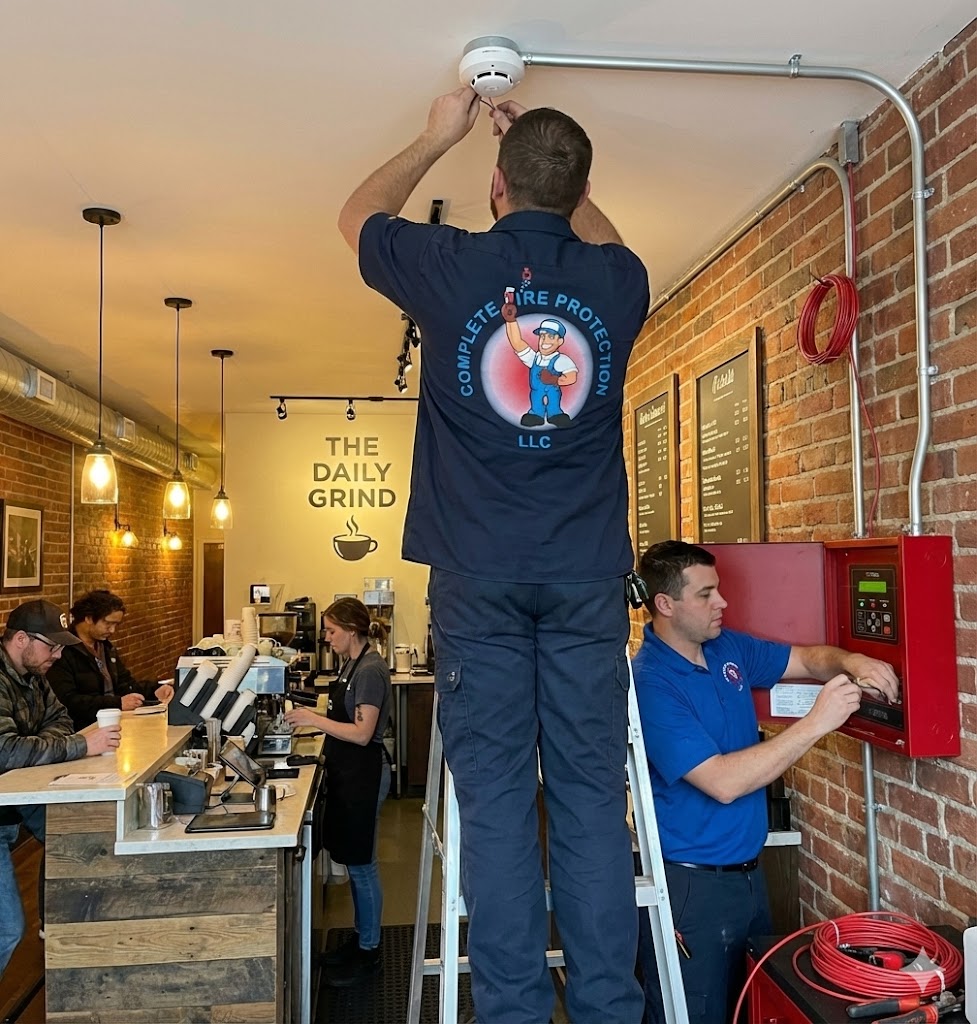 A bright, indoor portrait of a smiling young woman in a white top, holding a large, grey British Shorthair cat with yellow eyes and a collar. The scene includes greenery, giving it a fresh, welcoming feel. This image emphasizes the human-pet connection and friendly service.